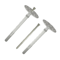 Soojusisolatsiooni tüüblid nailonnaelaga WkretMet Ø8xL210mm