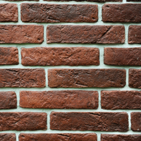 Betoonmassist fasaadiplaat Demonta Stonelita 0.34m2 beež