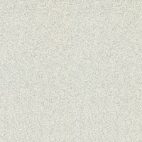 Külmakindel kivimassist põrandaplaat Idaho Ceramika Paradyz 30x30cm helehall