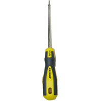 Torx kruvikeeraja Proline T7/75mm