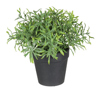 Kunsttaim potis 20cm maitsetaimed 1