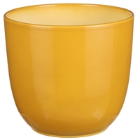 Dekoratiivne lillepott Tusca Ø19.5cm H18.5cm keraamiline/kollane