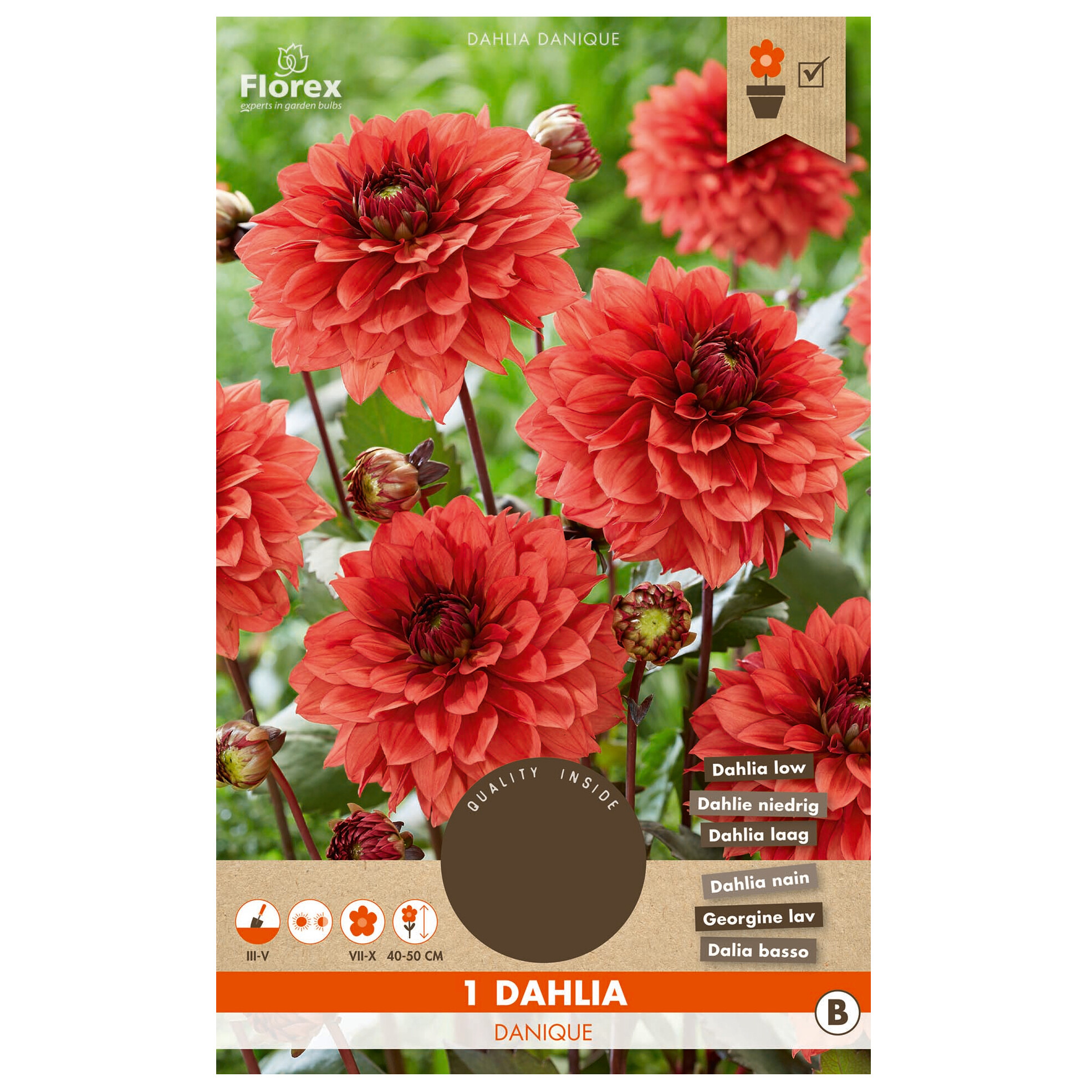 トップス SOOR PLOOM Dahlia smock gumdrop トップス SOOR PLOOM Dahlia smock gumdrop Frog Smocked Pink