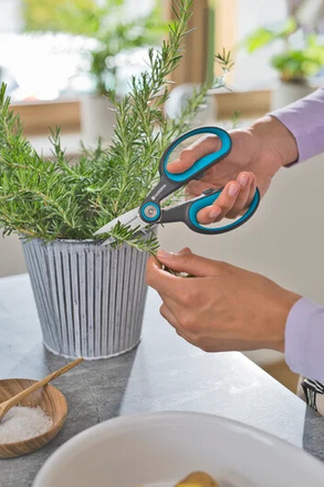 Žolelių žirklės Herbcut Gardena 52mm geležtės su dėklu | DEPO Online
