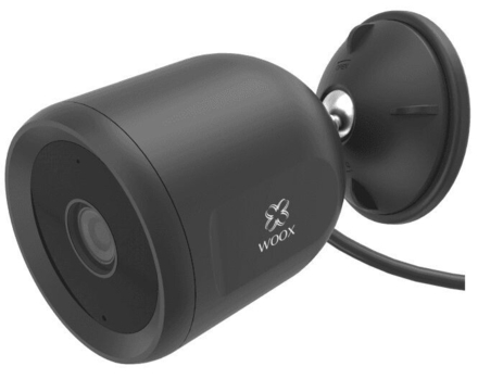 Hol mushuk bilan jinsiy aloqa video